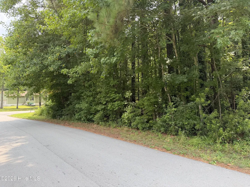 919 Mandarin Trail Jacksonville, NC 28540