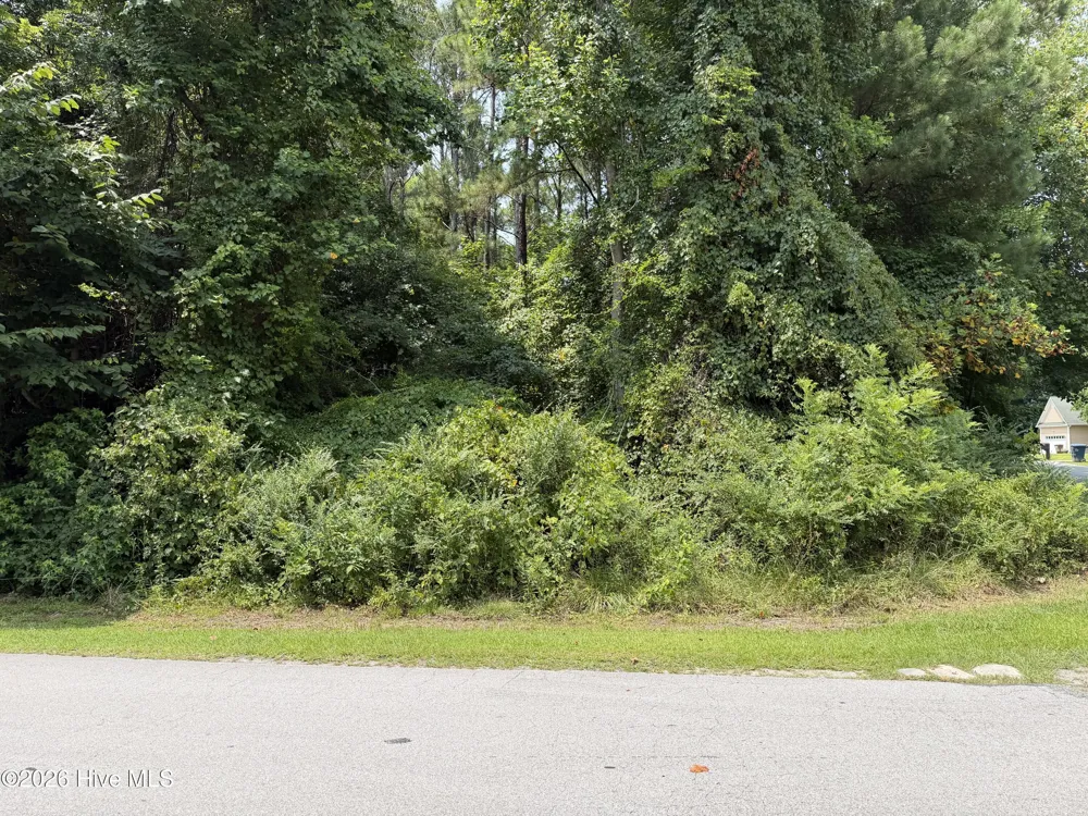 919 Mandarin Trail Jacksonville, NC 28540
