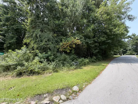 919 Mandarin Trail
