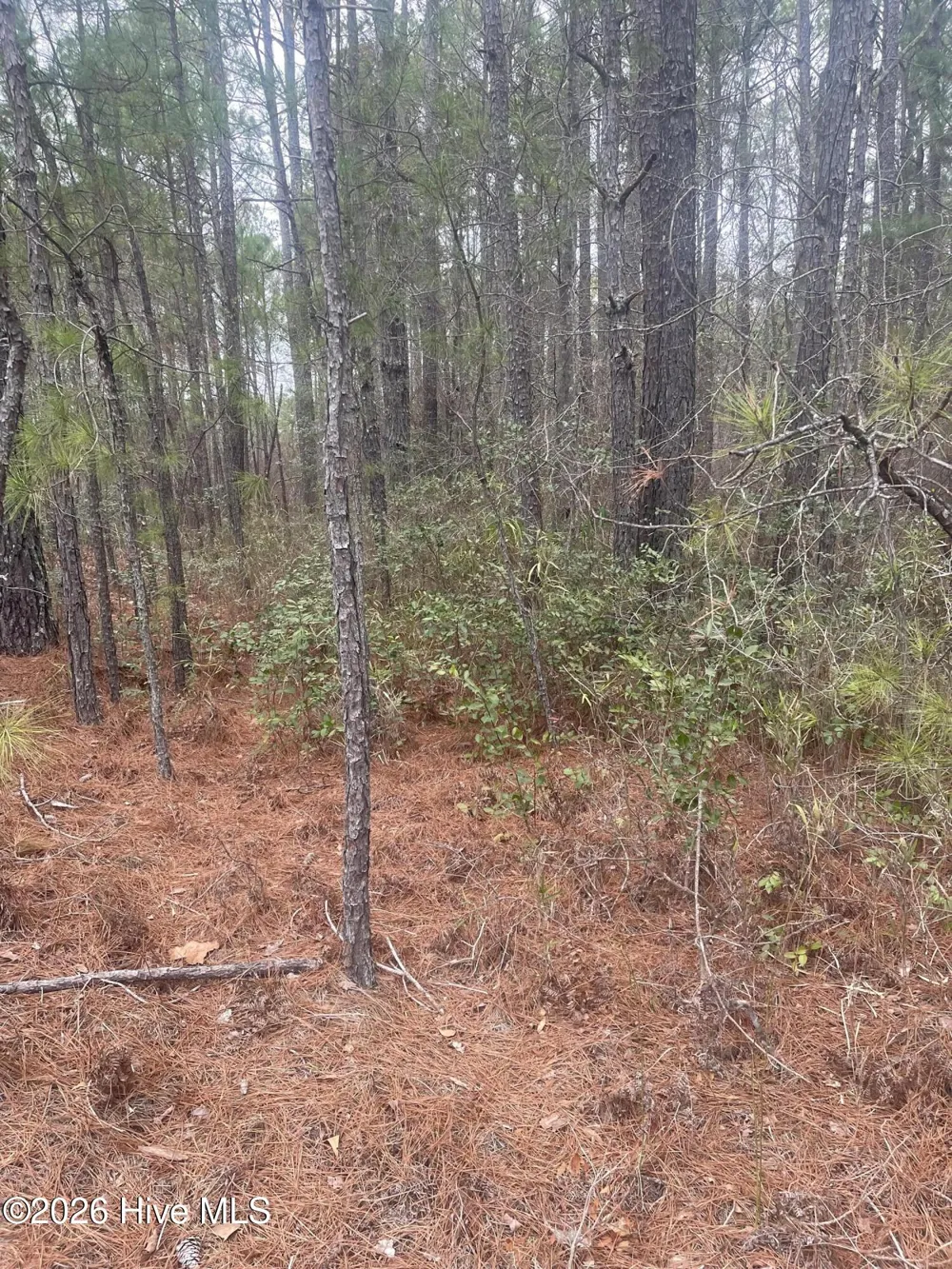 Lot #6 Bumpy Lane Sanford, NC 27332
