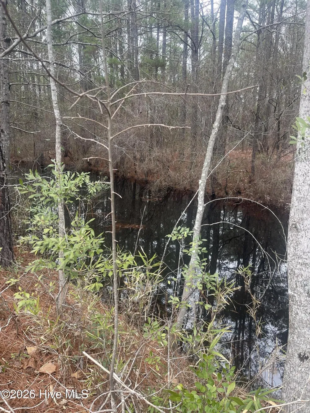 Lot # 7 Bumpy Lane Sanford, NC 27332