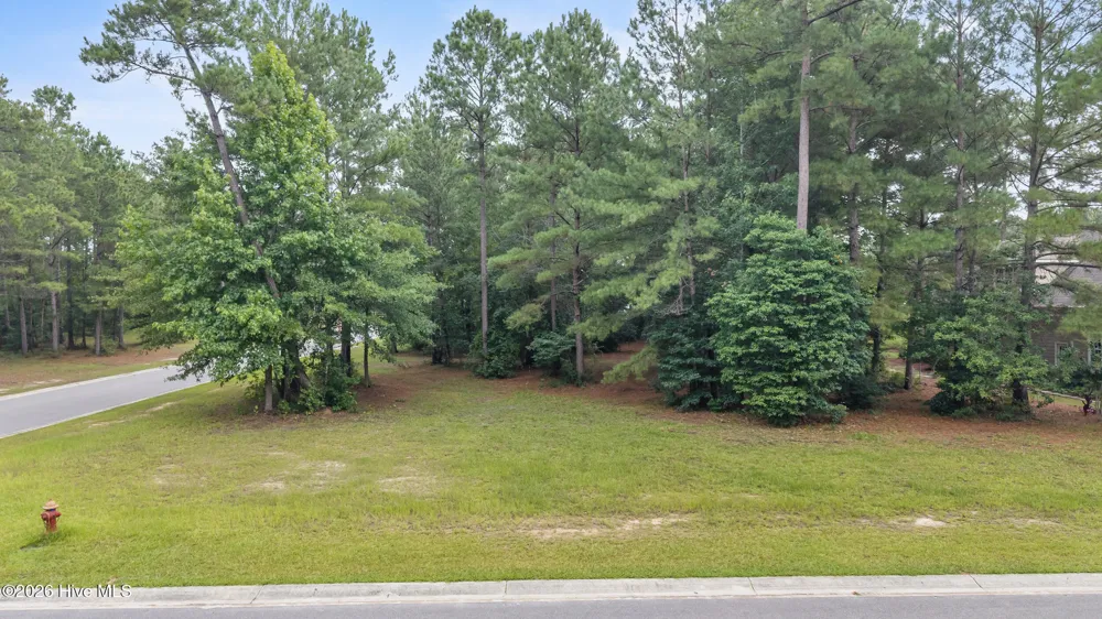 154 Muscadine Trail Wallace, NC 28466