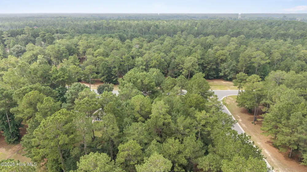154 Muscadine Trail Wallace, NC 28466