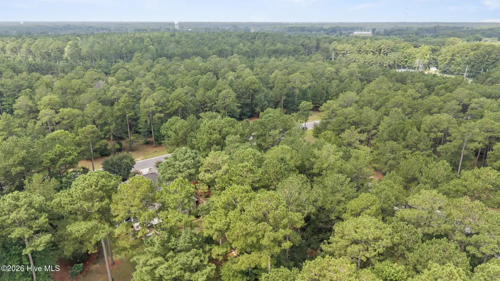 154 Muscadine Trail Wallace, NC 28466