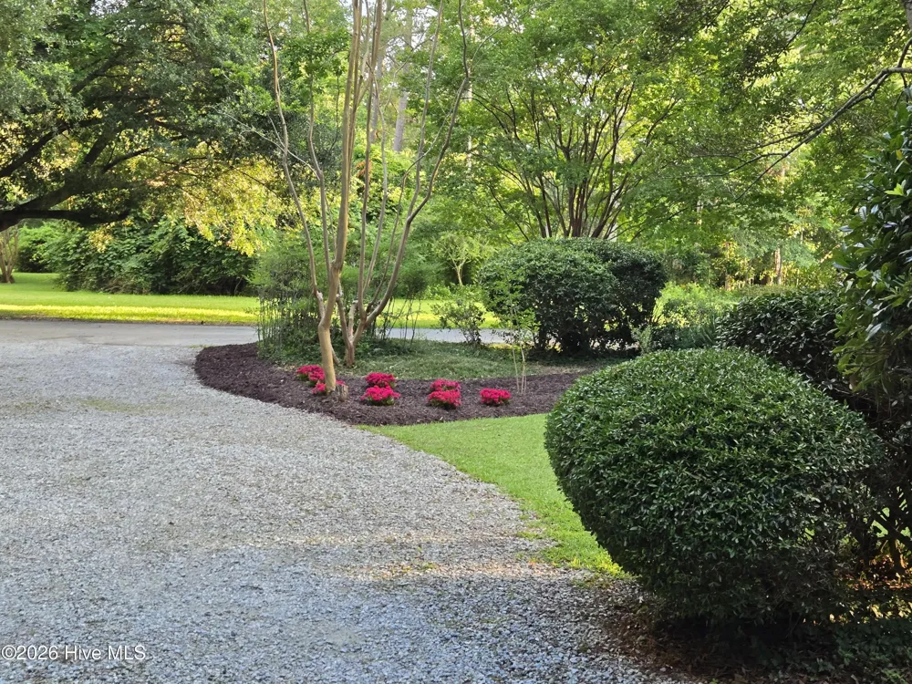 710 Orient Lane Oriental, NC 28571