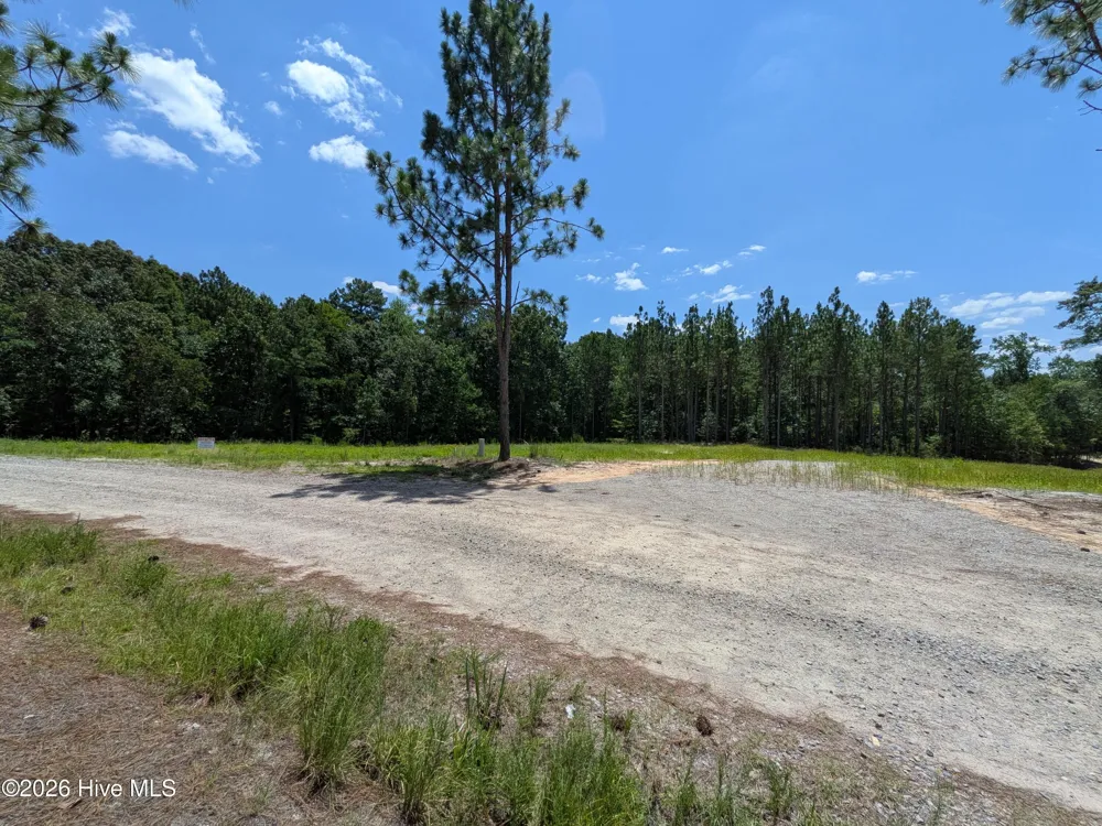 274 Charles Road Eagle Springs, NC 27242