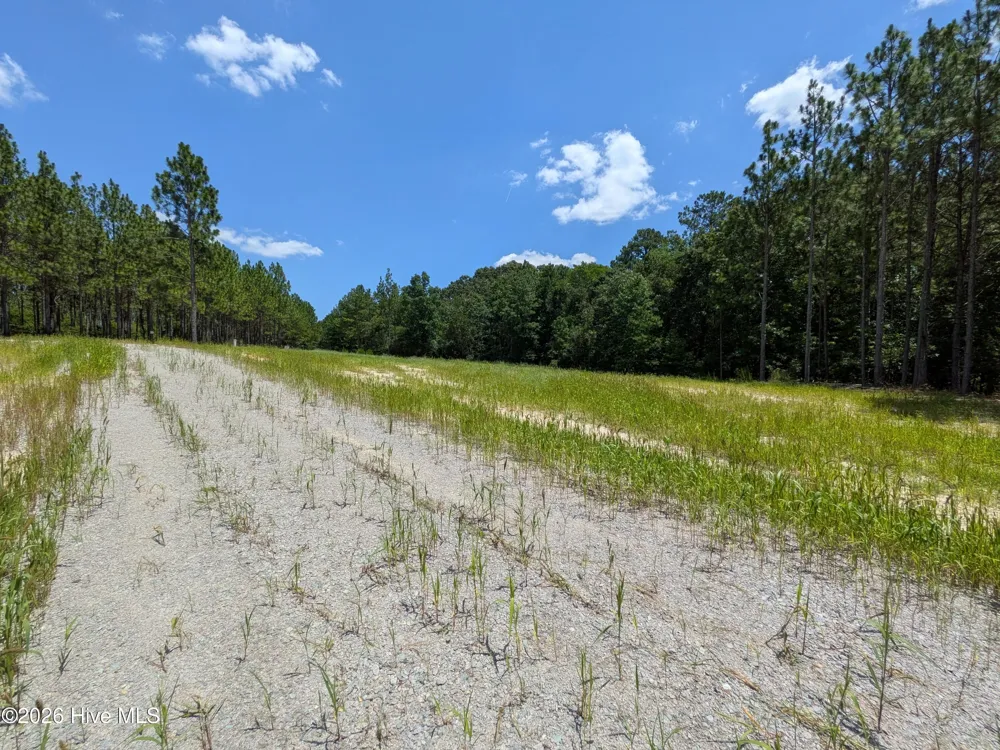 274 Charles Road Eagle Springs, NC 27242