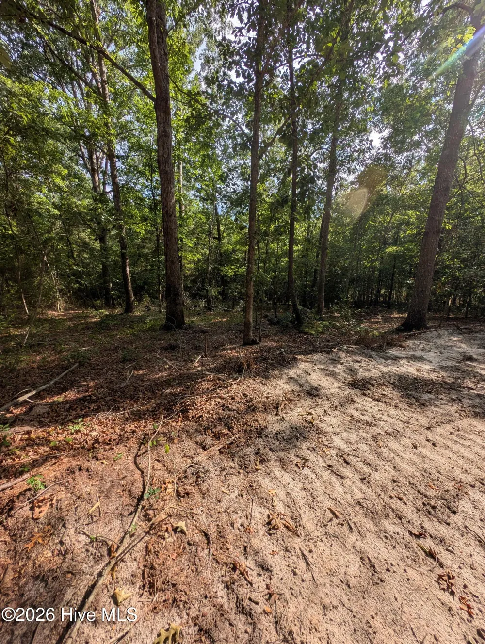 Tbd Peyton Drive Eagle Springs, NC 27242