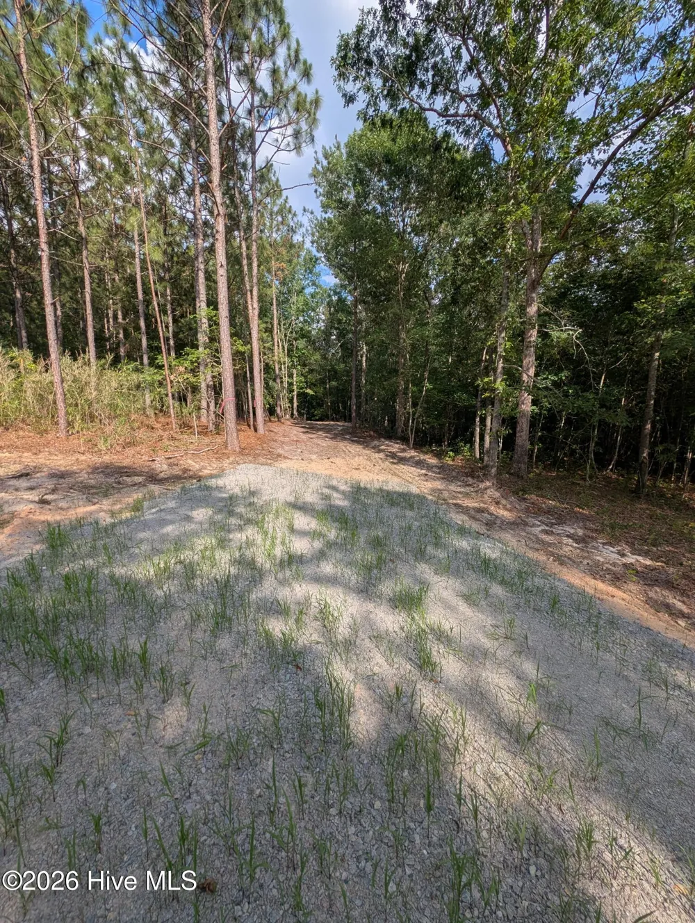 Tbd Peyton Drive Eagle Springs, NC 27242