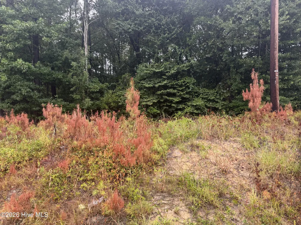 000 Richlands Highway Jacksonville, NC 28540