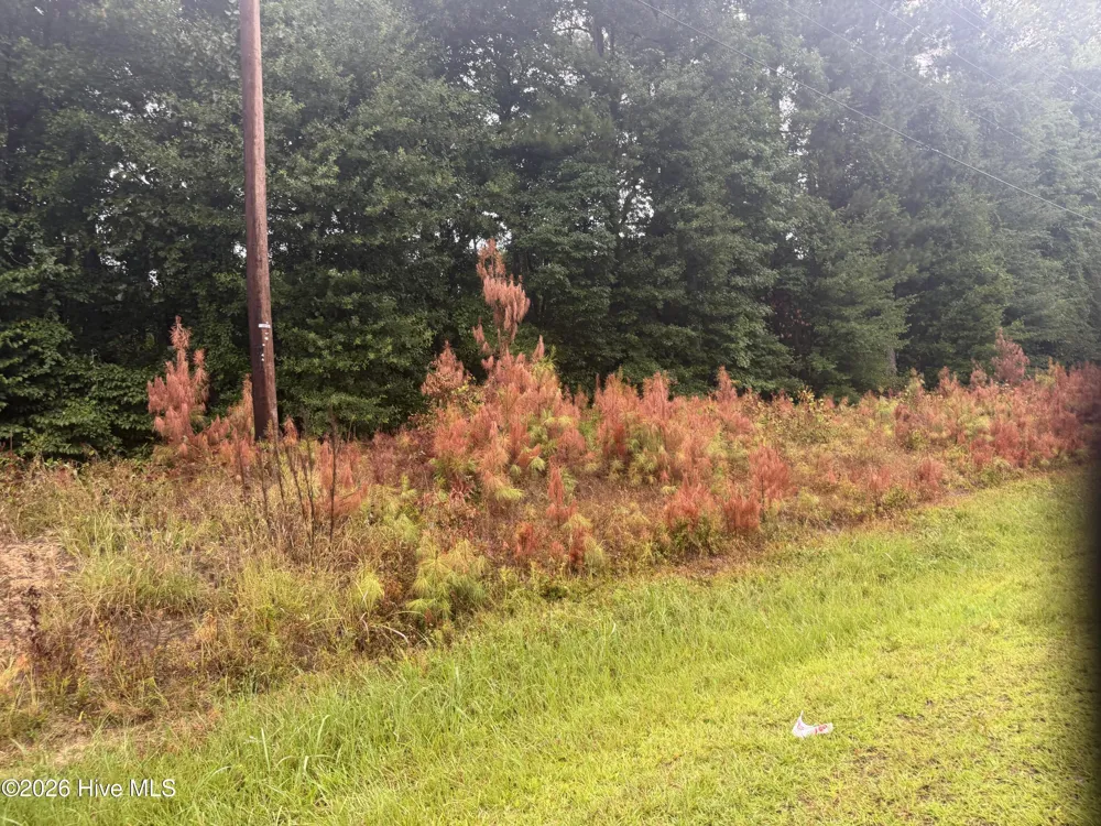 000 Richlands Highway Jacksonville, NC 28540