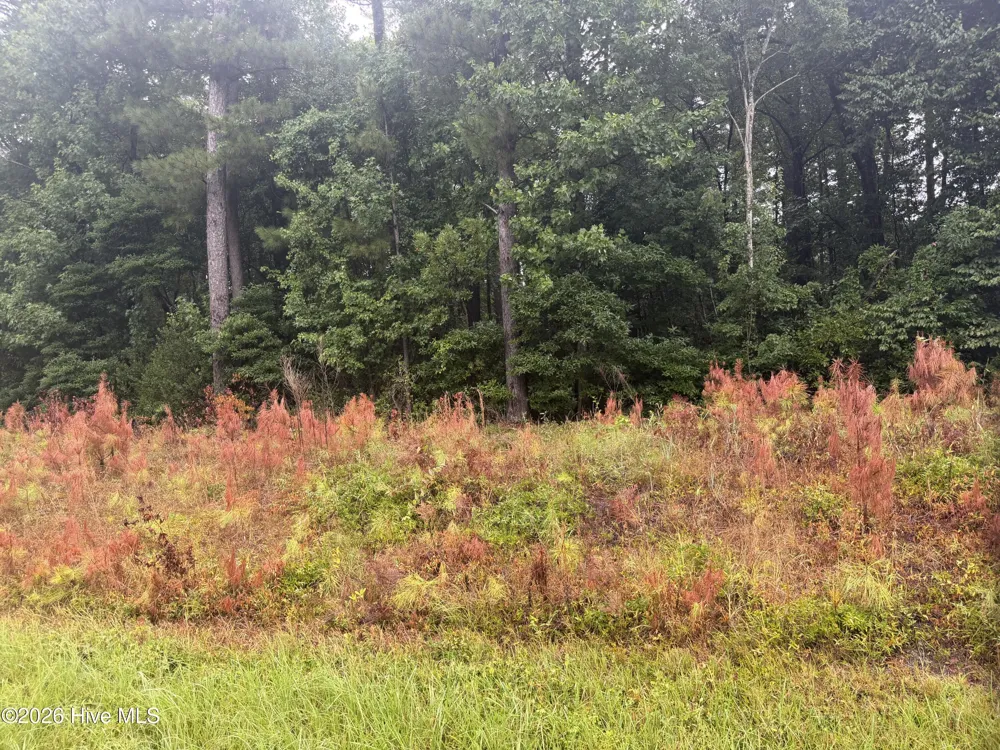 000 Richlands Highway Jacksonville, NC 28540