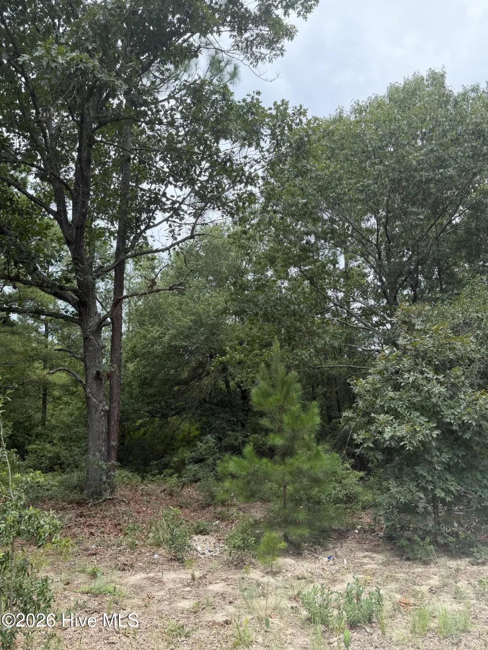 406 Douglas Drive Beech Island, SC 29842
