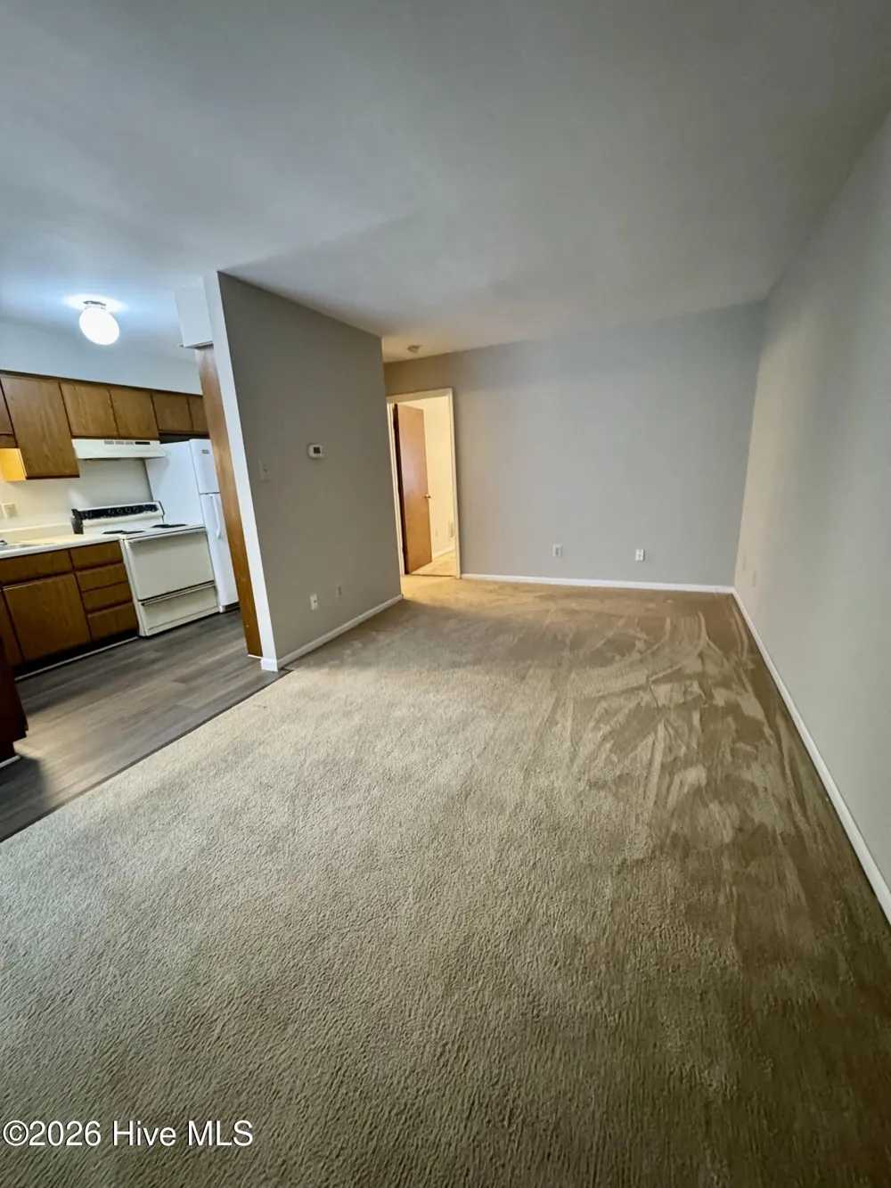 1008 Peed Drive #2 Greenville, NC 27834