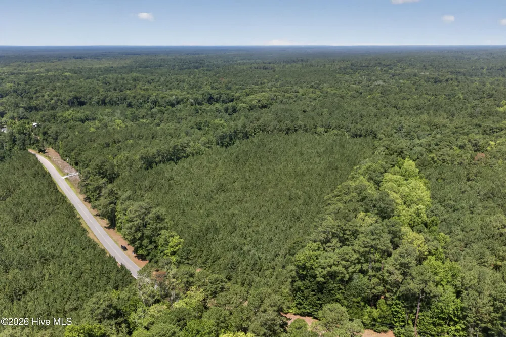 82 Acres Point Caswell Rd Road Atkinson, NC 28421