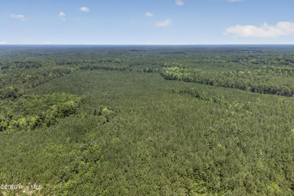 82 Acres Point Caswell Rd Road Atkinson, NC 28421