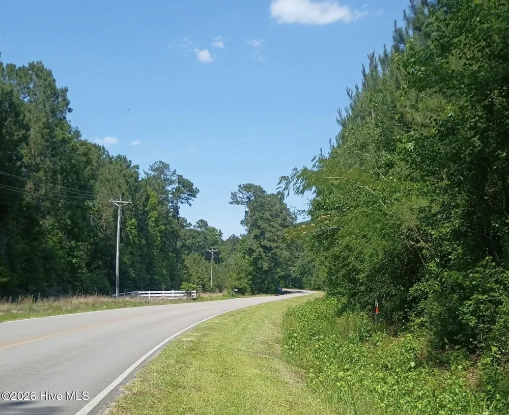 82 Acres Point Caswell Rd Road Atkinson, NC 28421