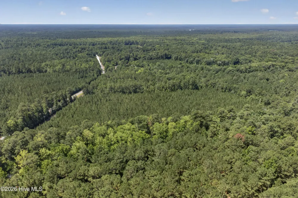 82 Acres Point Caswell Rd Road Atkinson, NC 28421