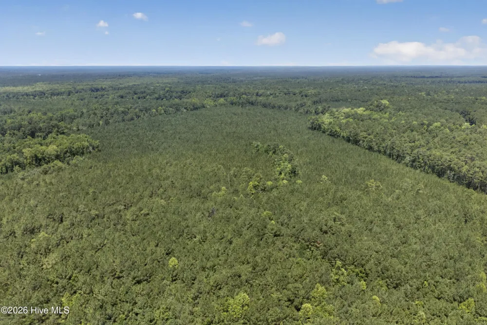 82 Acres Point Caswell Rd Road Atkinson, NC 28421
