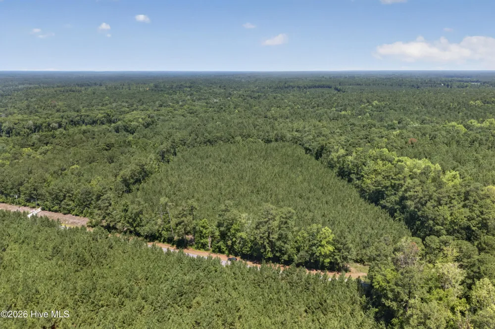 82 Acres Point Caswell Rd Road Atkinson, NC 28421