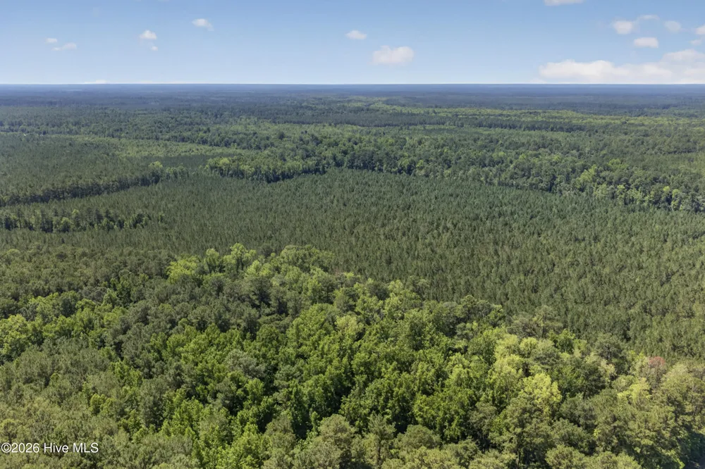 82 Acres Point Caswell Rd Road Atkinson, NC 28421