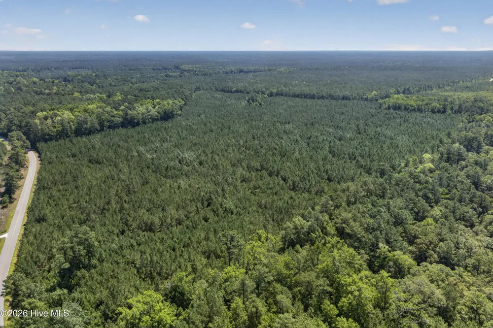82 Acres Point Caswell Rd Road Atkinson, NC 28421