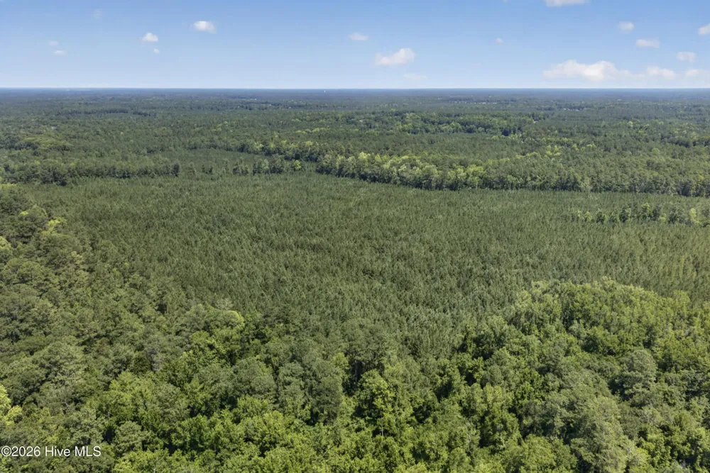 82 Acres Point Caswell Rd Road Atkinson, NC 28421