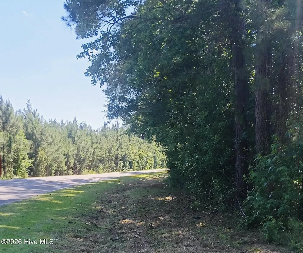 82 Acres Point Caswell Rd Road Atkinson, NC 28421