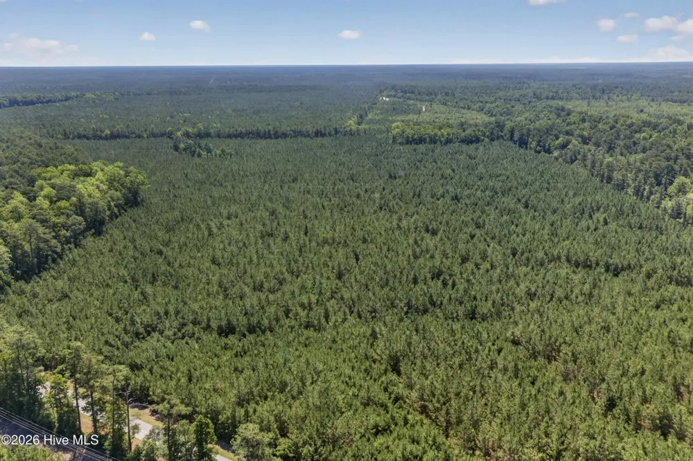 82 Acres Point Caswell Rd Road Atkinson, NC 28421