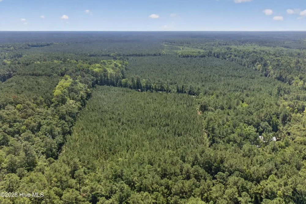 82 Acres Point Caswell Rd Road Atkinson, NC 28421