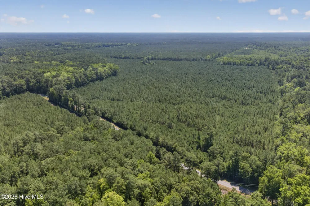 82 Acres Point Caswell Rd Road Atkinson, NC 28421