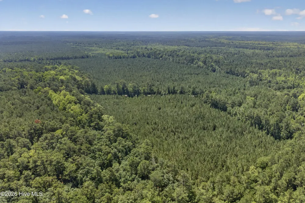 82 Acres Point Caswell Rd Road Atkinson, NC 28421
