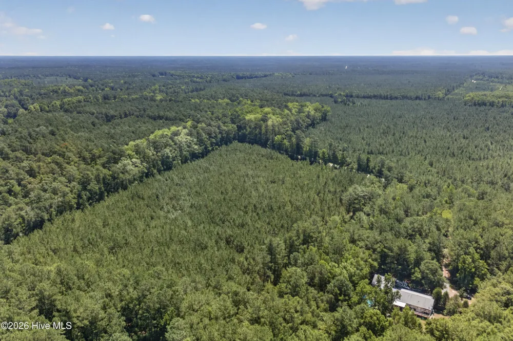 82 Acres Point Caswell Rd Road Atkinson, NC 28421