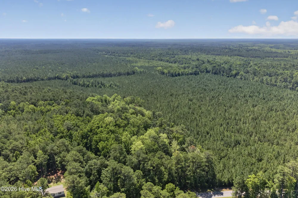 82 Acres Point Caswell Rd Road Atkinson, NC 28421