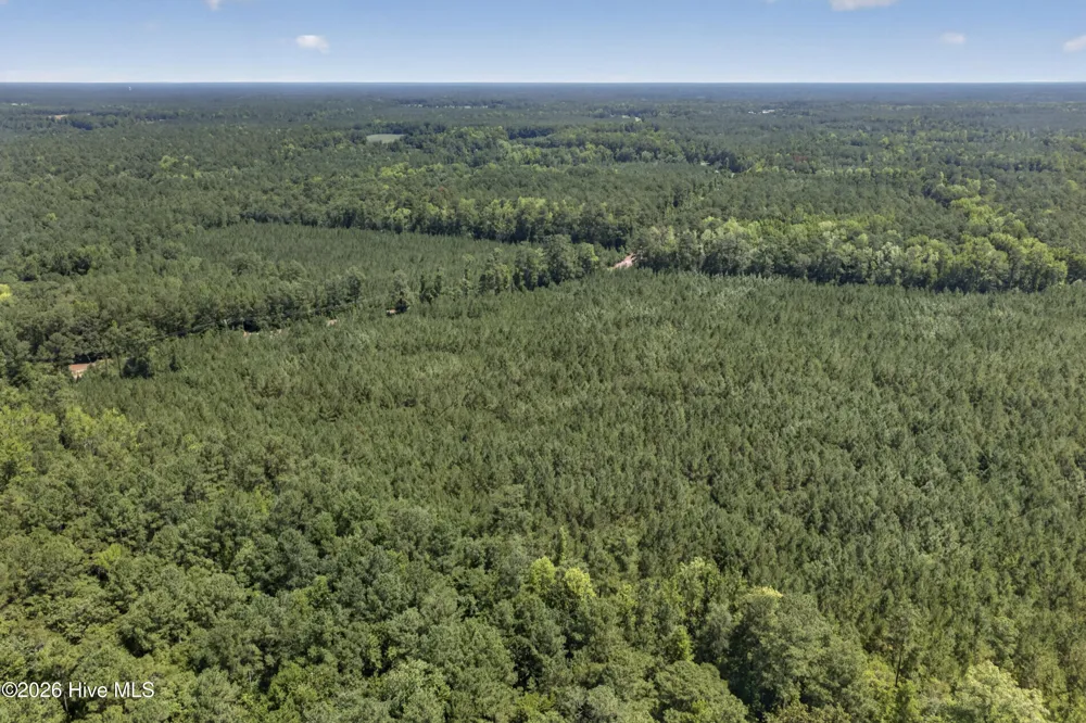 82 Acres Point Caswell Rd Road Atkinson, NC 28421