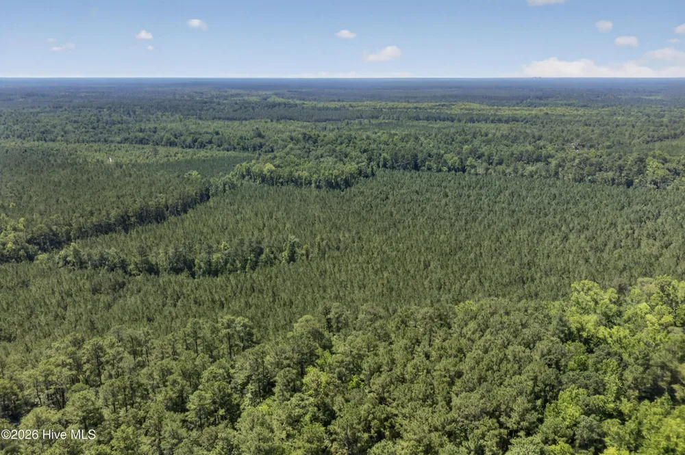 82 Acres Point Caswell Rd Road Atkinson, NC 28421