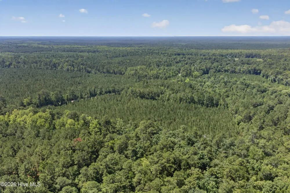 82 Acres Point Caswell Rd Road Atkinson, NC 28421