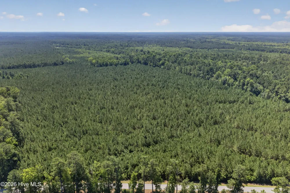 82 Acres Point Caswell Rd Road Atkinson, NC 28421