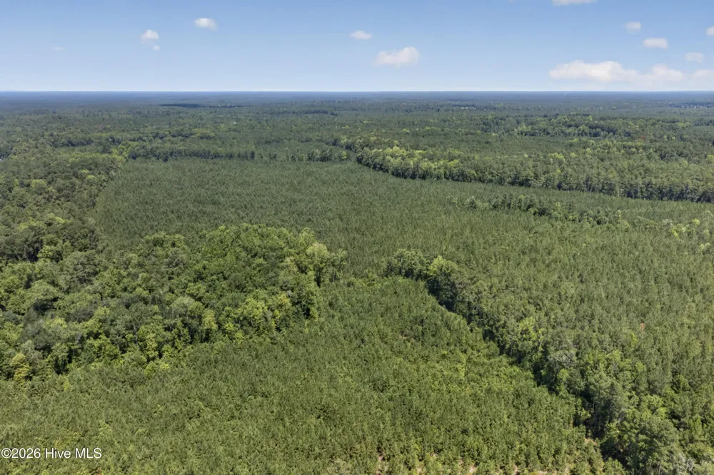 82 Acres Point Caswell Rd Road Atkinson, NC 28421