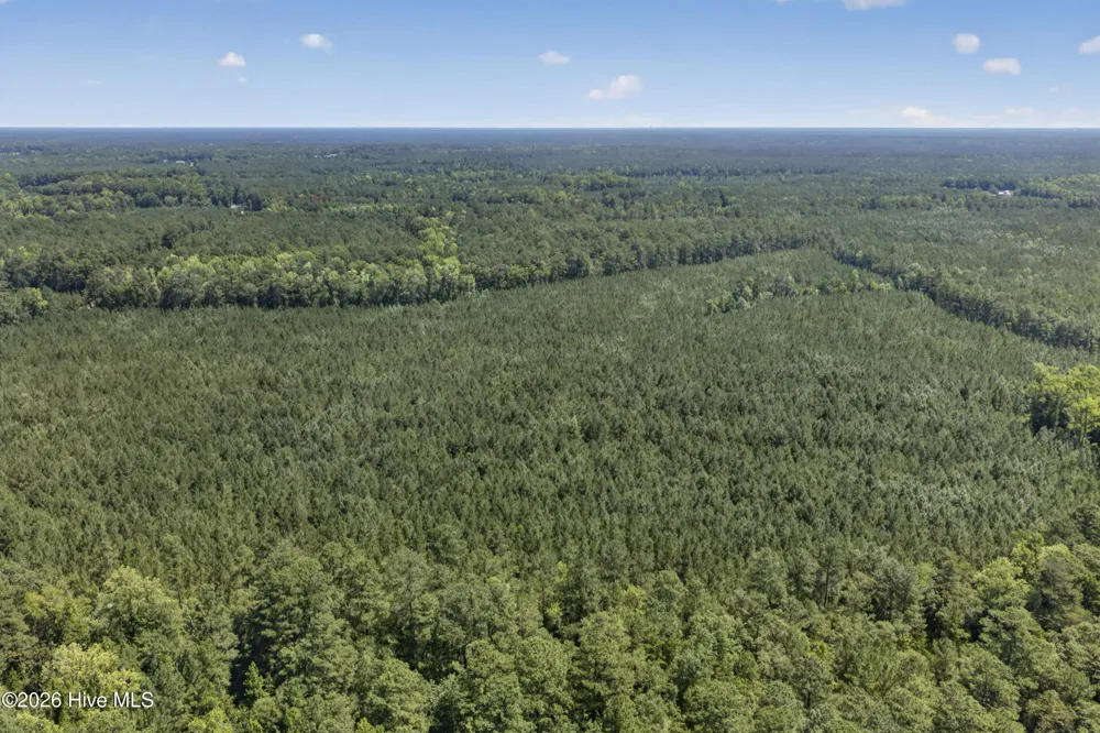 82 Acres Point Caswell Rd Road Atkinson, NC 28421