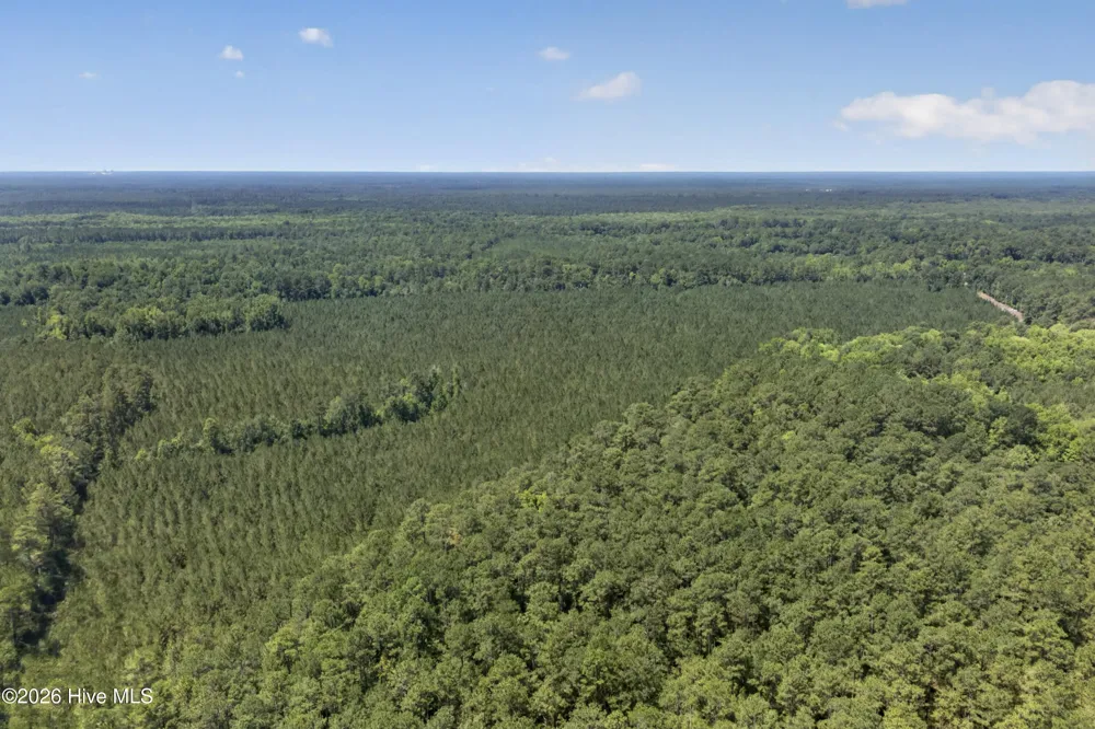 82 Acres Point Caswell Rd Road Atkinson, NC 28421