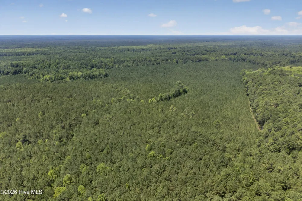 82 Acres Point Caswell Rd Road Atkinson, NC 28421
