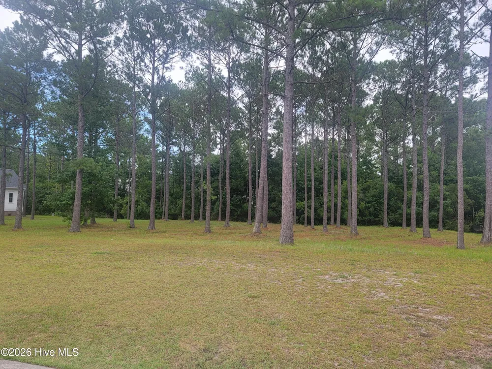6368 Blenhiem Place SW Ocean Isle Beach, NC 28469
