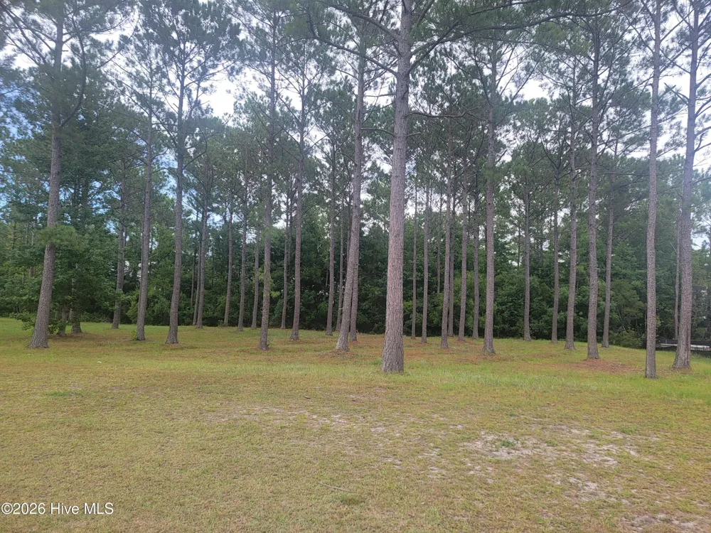 6368 Blenhiem Place SW Ocean Isle Beach, NC 28469
