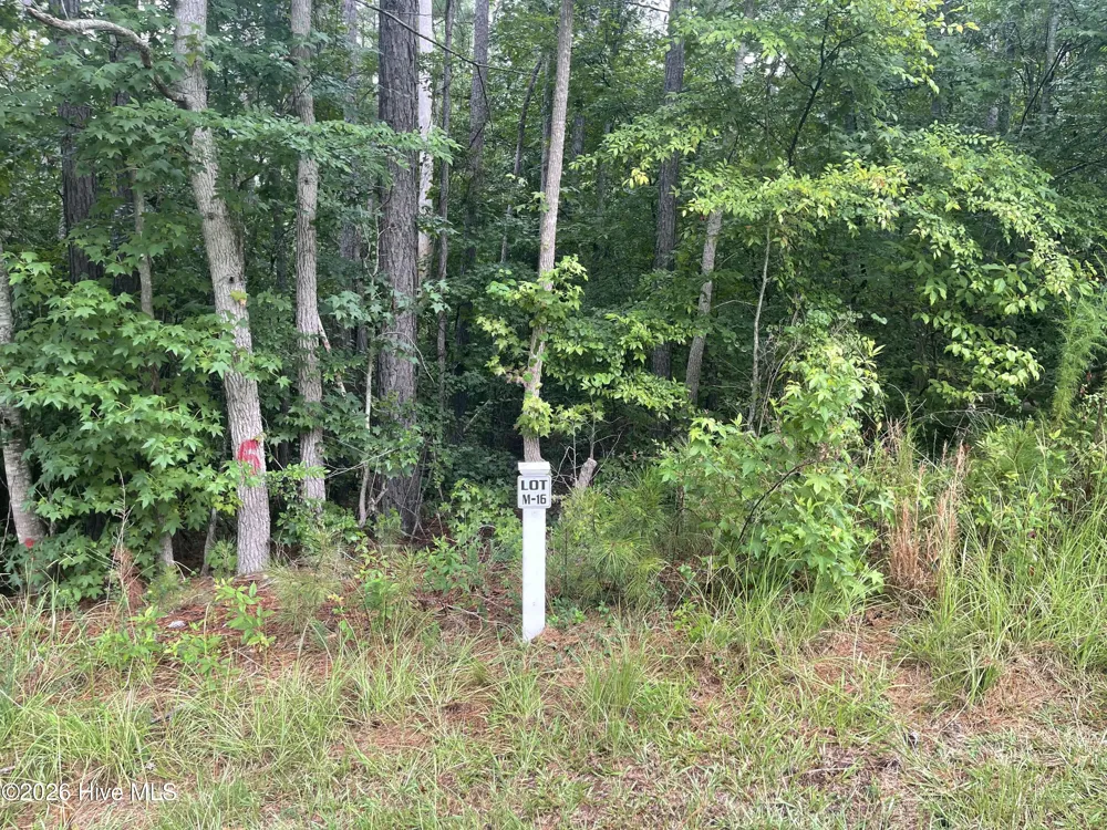 Lot M-16 Cavalry Run North Augusta, SC 29860