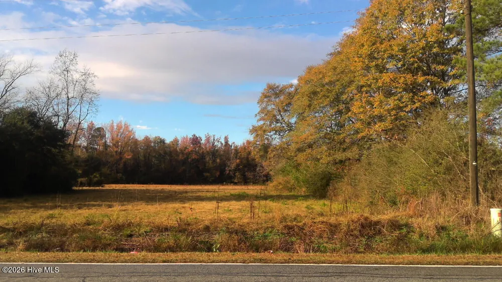 1.77 Ac Will Baker Road Kinston, NC 28504