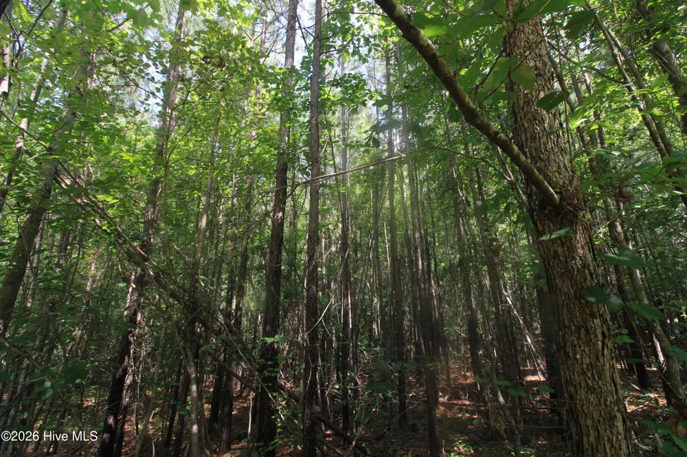 0 Crowatan Trail Carthage, NC 28327