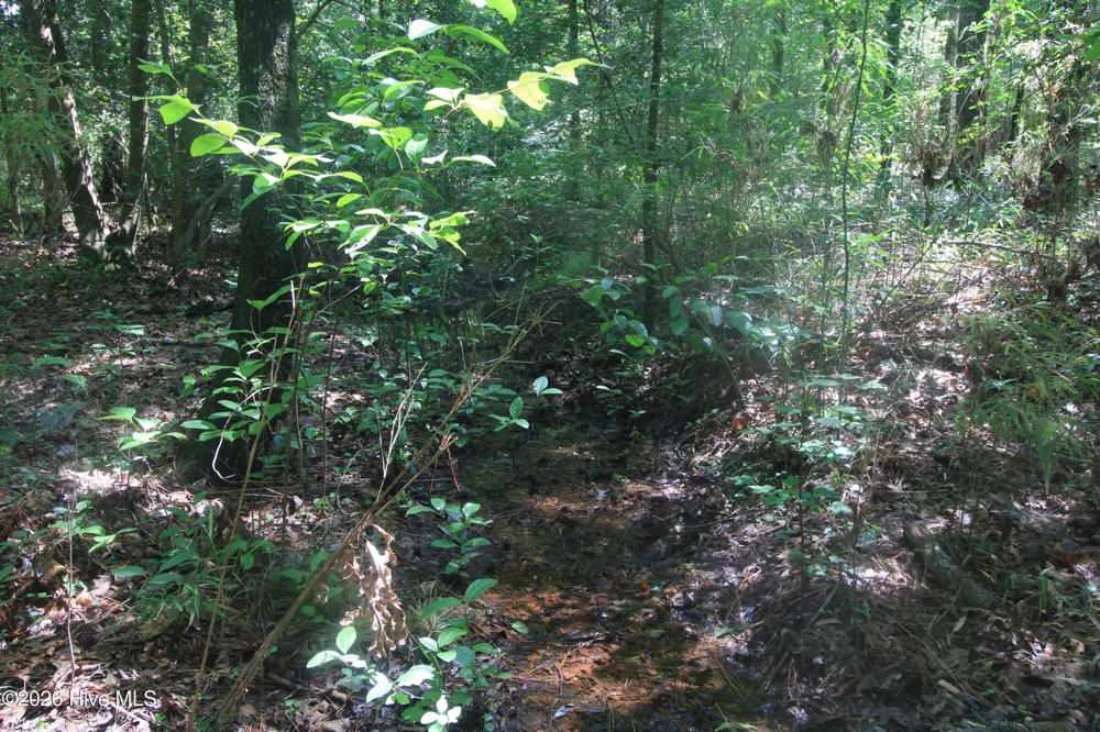 0 Crowatan Trail Carthage, NC 28327