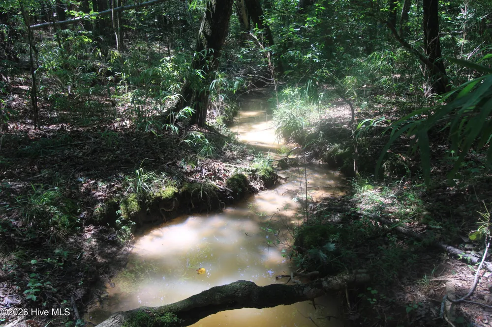 0 Crowatan Trail Carthage, NC 28327