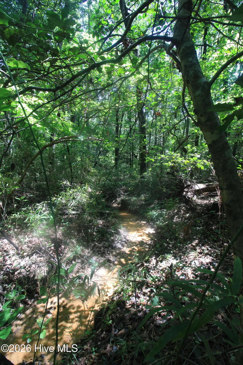 0 Crowatan Trail Carthage, NC 28327